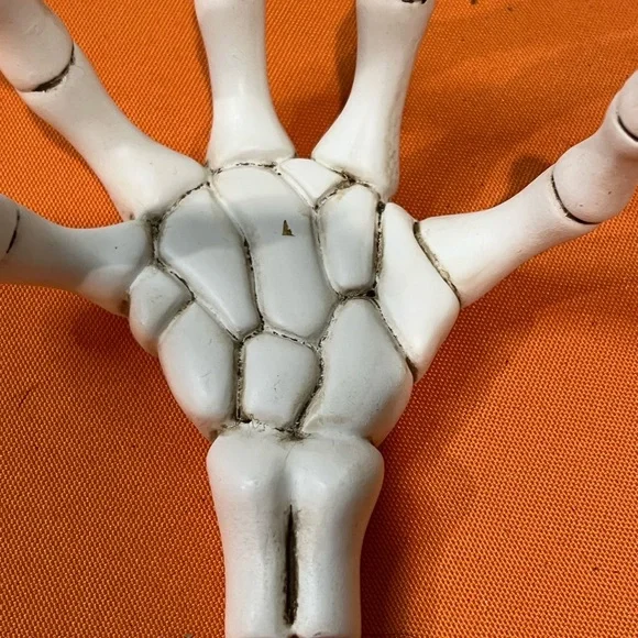 6/$25
Green Candle in Skeleton Hand Holder - Picture 5 of 13